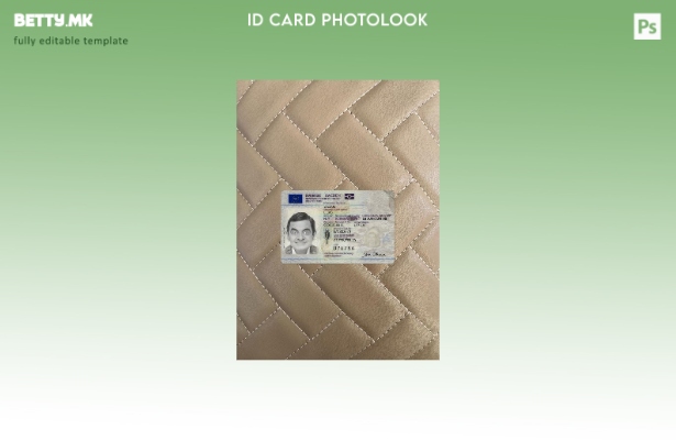 модерен стил Шведска лична карта е преден шаблон со фото изглед 1